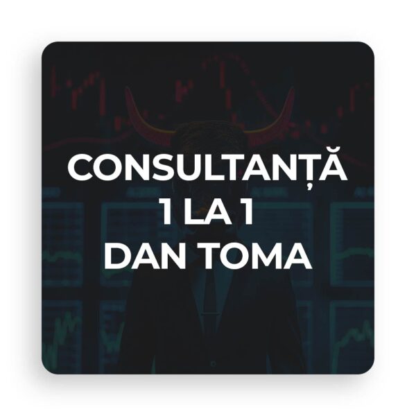 consultanta-1-la-1-dan-toma-trade